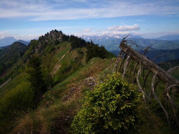 Dürrensteigkamm - Langlackenmauer
