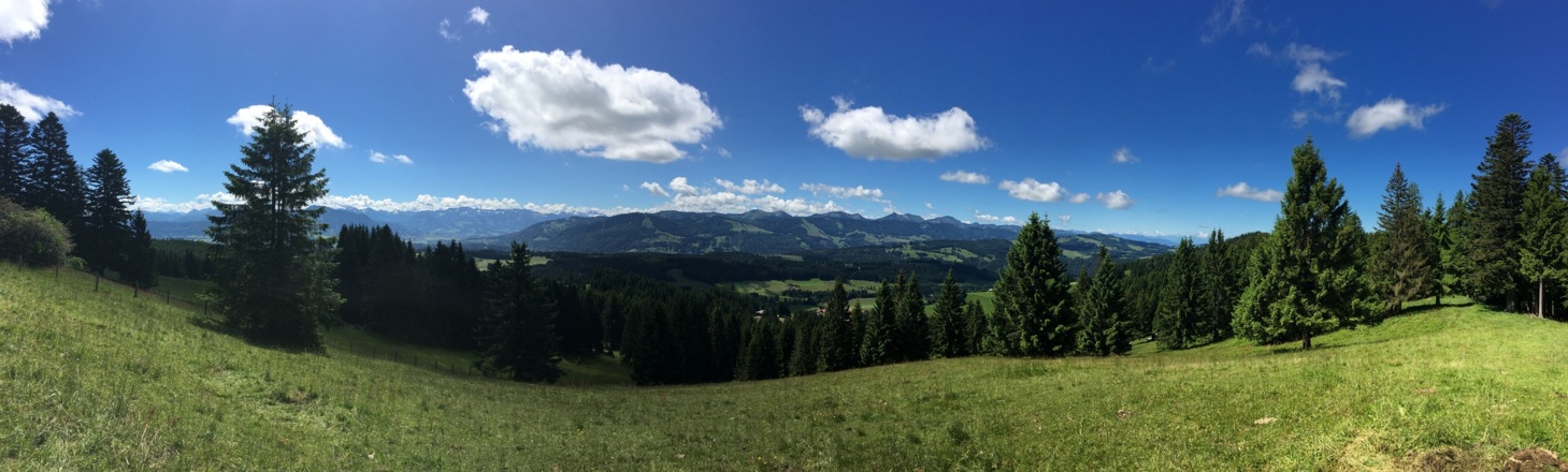 Auf dem Hauchenberg, Blick Richtung Süd-West, Allgäuer Hauptkamm, Nagelfluhkette und rechts das Alpsteingebiet (Ostschweiz)