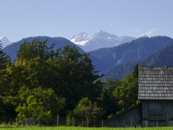 Aussicht auf den Hohen Dachstein. Z11S