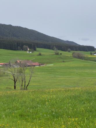 St. Rochus Kapelle mit der kleinen Ortschaft Waltrams und der Hauchenberg im Hintergrund