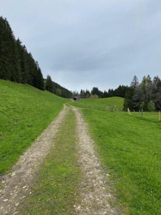 ....entlang am Fuße des Hauchenberges im Weitnauer Tal
