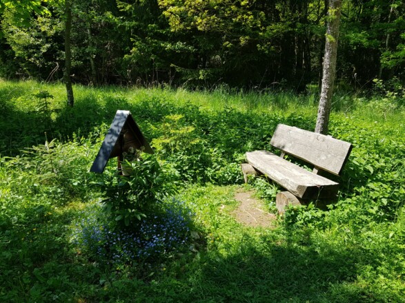 Ruhebank im Stadtwald