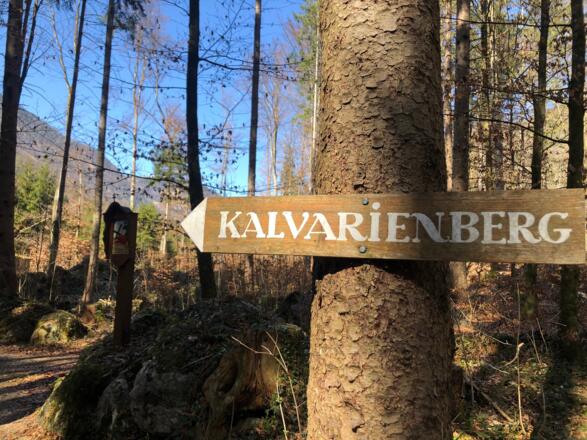 auf dem Waldweg zum Kalvarienberg