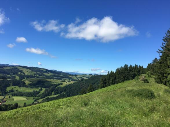 Auf dem Rücken des Hauchenberges, Richtung Westen, die Alpsteinkette der Ostschweiz/Appenzell fest im Blick