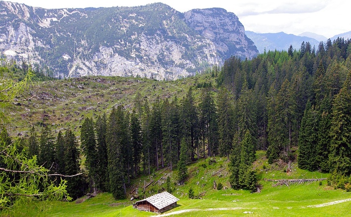 Auf der Lattenbergalm