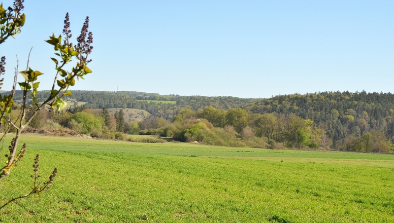 Ausblick Schlafzimmer