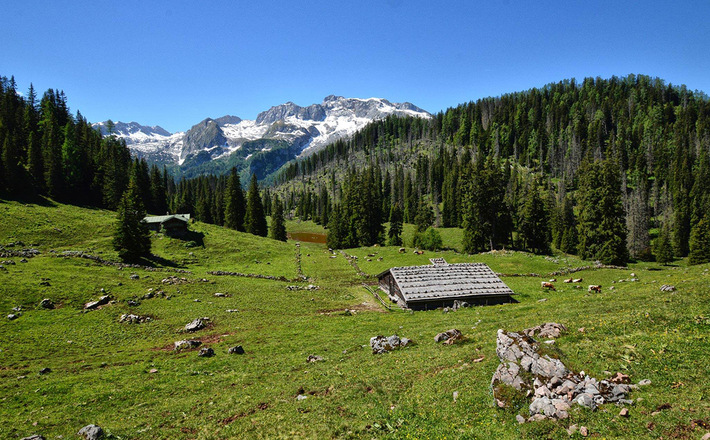 Blick über die Regenalm zum Funtenseetauern