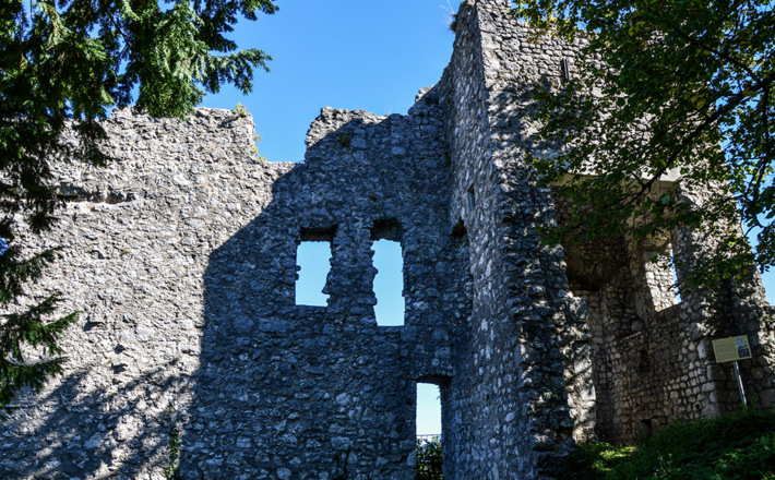 Die Burgruine Karlstein