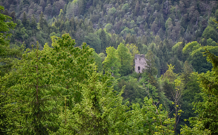 Blick zur Burgruine Karlstein