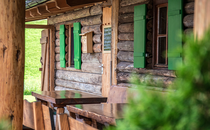 Berghütte Holzkäfer