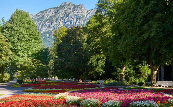 Blumen im Königlichen Kurgarten