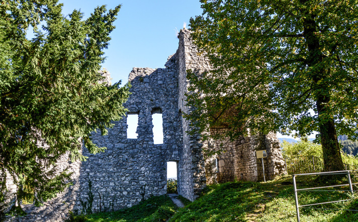 Die Burgruine Karlstein
