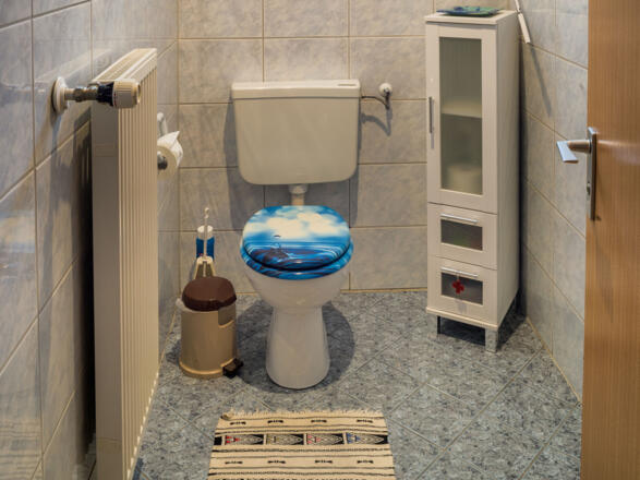 WC , separat mit Handwaschbecken