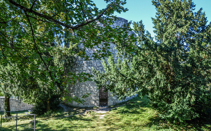 Die Burgruine Karlstein