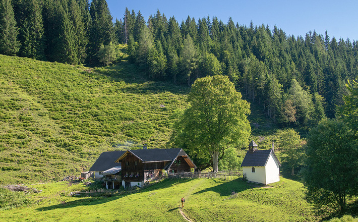 Die Steiner Alm