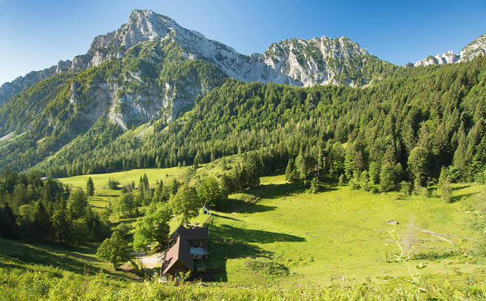 Blick über die Steiner Alm zu Hoch- und Mittelstaufen