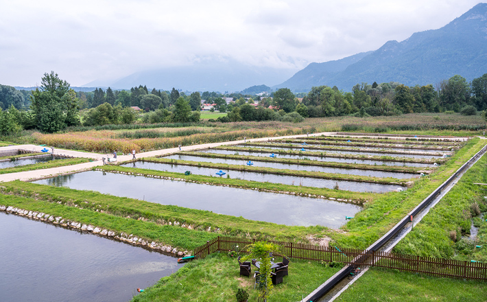 Fischzucht im Reichenhaller Stadtteil Karlstein