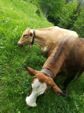 Fanni und Leni