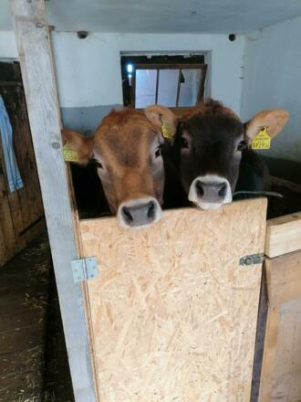 Mia und Franzi