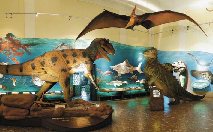 Saurierhalle im Haus der Natur Salzburg