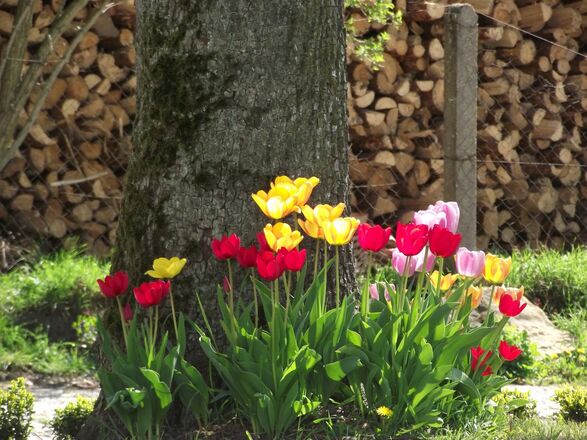 Historischer Pfarrhof Niederleierndorf