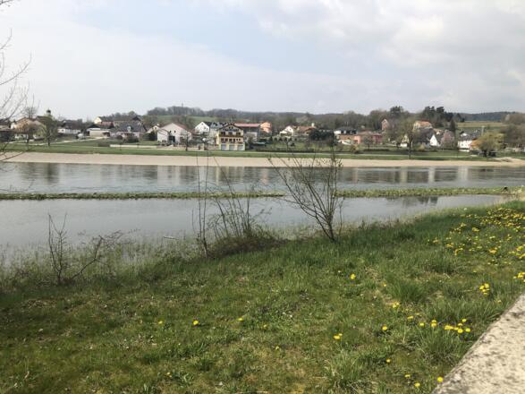 Ausblick auf die Donau