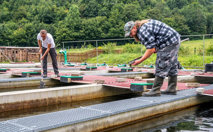 Fischzucht Alpenland Bad Reichenhall
