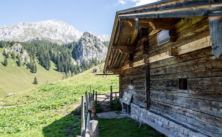 Blick vom Stockerkaser im Königstal hinauf zum Hohen Brett