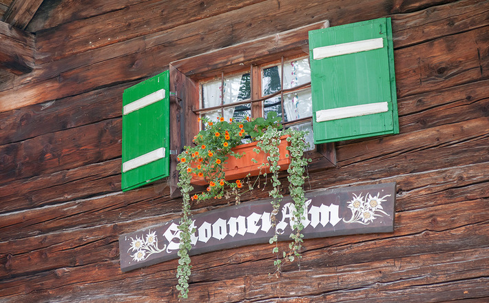 "Stoaner Alm": Die Steiner Alm in Piding