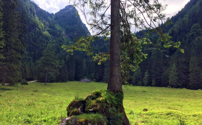 Die Eckaualm am Hochkalter im Bergsteigerdorf Ramsau