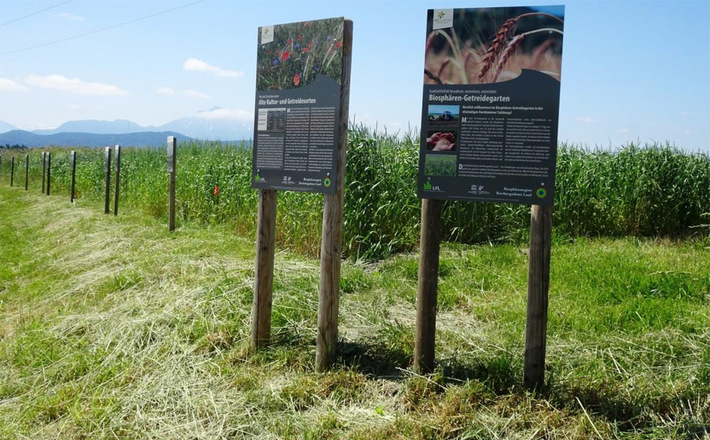 Der Biosphären-Getreidegarten in der Gemeinde Saaldorf-Surheim