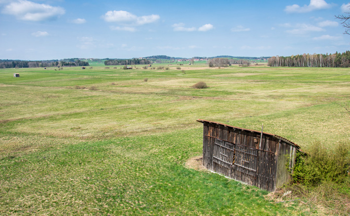 Blick über das Haarmoos