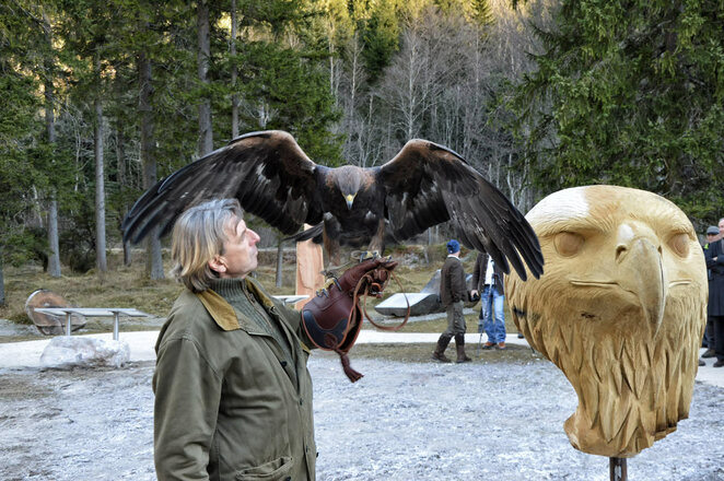 Falkner Wolfgang Czech mit Steinadler Dame Jennifer