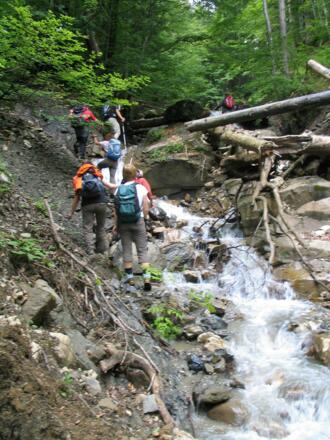 Auf Wegsuche im Tobel