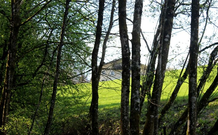 Malerisch gelegen: Der Kugelbachbauer