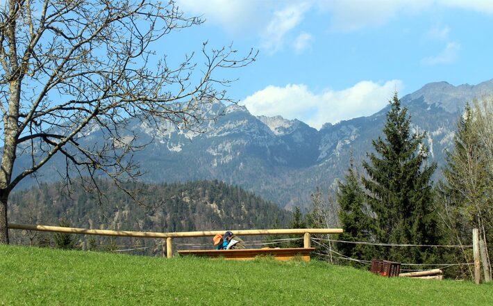 Aussicht vom Kugelbachbauer zum Zwiesel