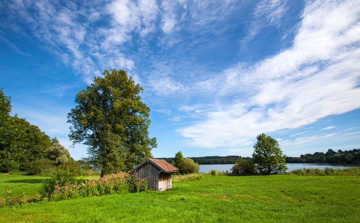 Liebliche Natur rund um den Abtsdorfer See