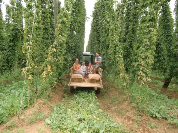 Traktorfahrt durch in Hopfengarten