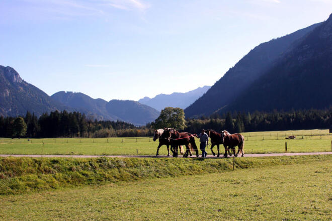 Wanderung - Oberammergau - Graswang