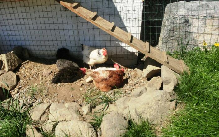 Sonnenbaden darf bei uns jeder