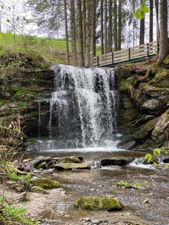 Wasserfall am Speckbach