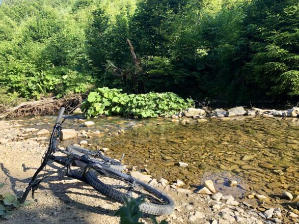 Bach am Weg im Klaus-Wald