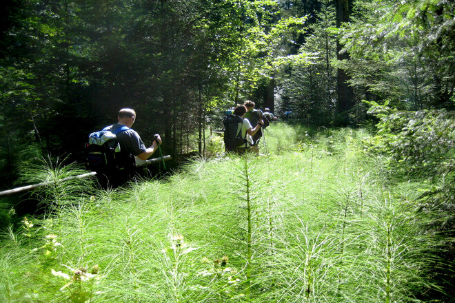 Wanderung - Acheleschwaig - Scheibum