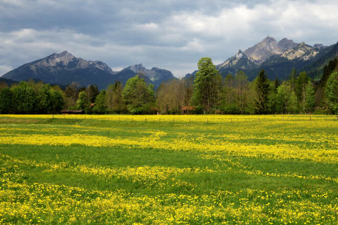 Wanderung Oberammergau - Graswang - Blick auf Scheinberg und Große Klammspitz
