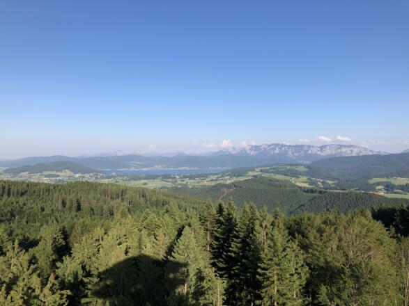Ausblick am Attersee vom Aussichtsturm