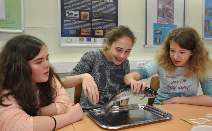 Schülerinnen im Schülerforschungszentrum Berchtesgadener Land