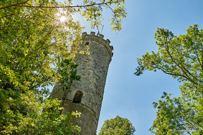 Walburg