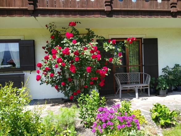Blumenpracht ums Haus