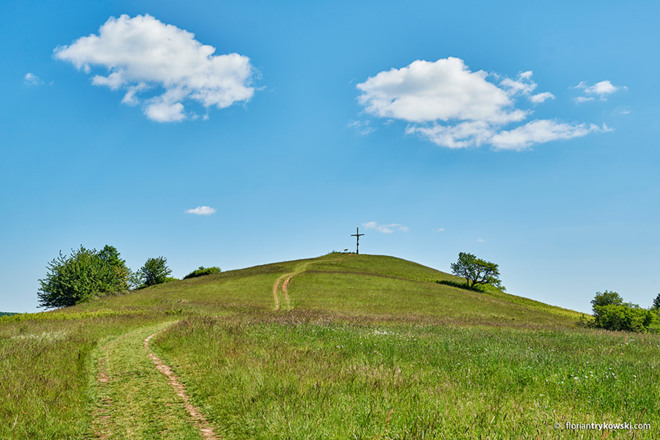 Spitzberg