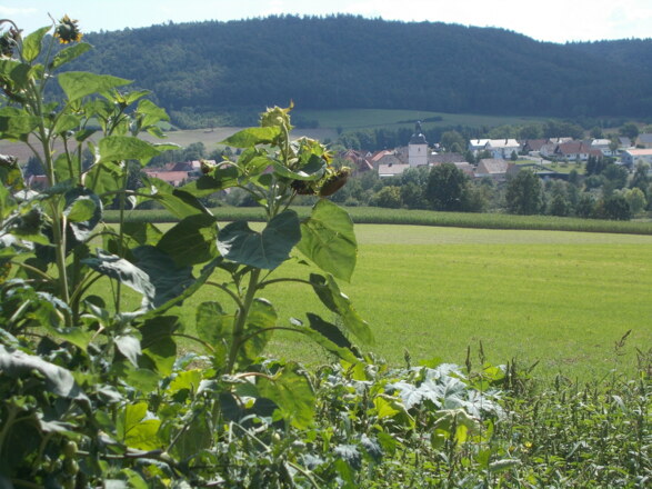 Blick auf Wustviel